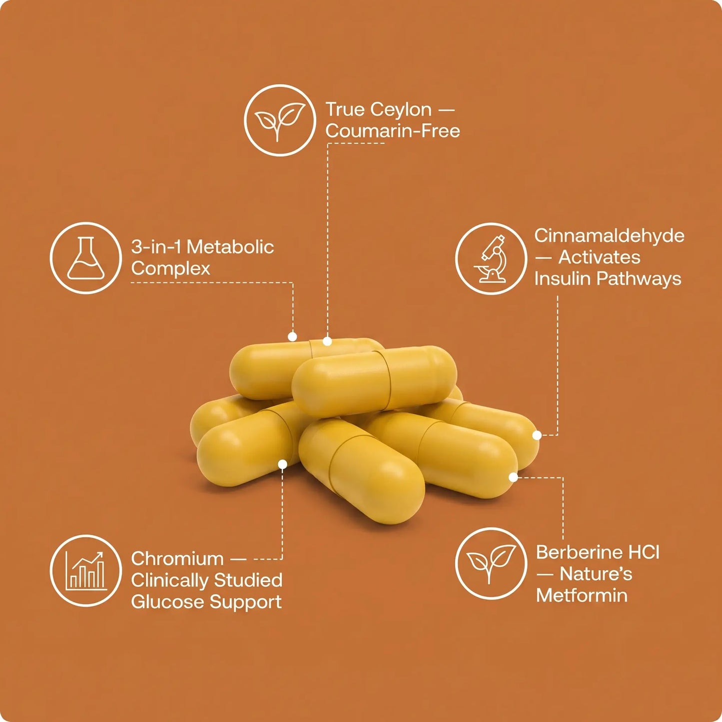 Berberine with Ceylon Cinnamon & Chromium
